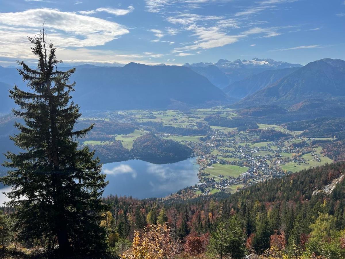 Ferienwohnungen Mikula-Hubacek Bad Aussee Exterior foto